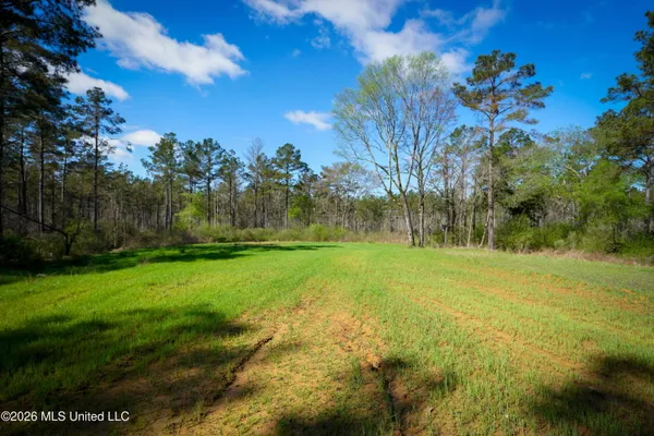 $151,200 | 0 North Putnam Road, Pickens, MS 39146