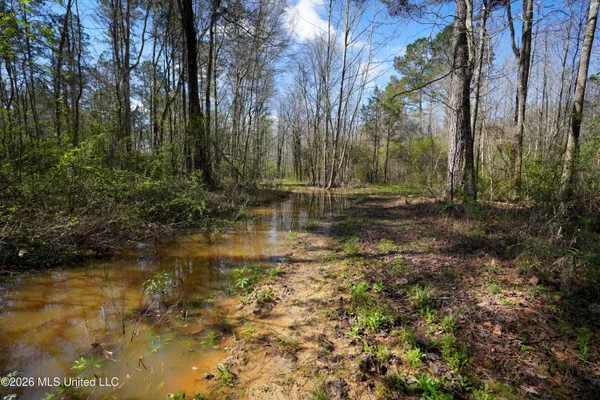 $151,200 | 0 North Putnam Road, Pickens, MS 39146