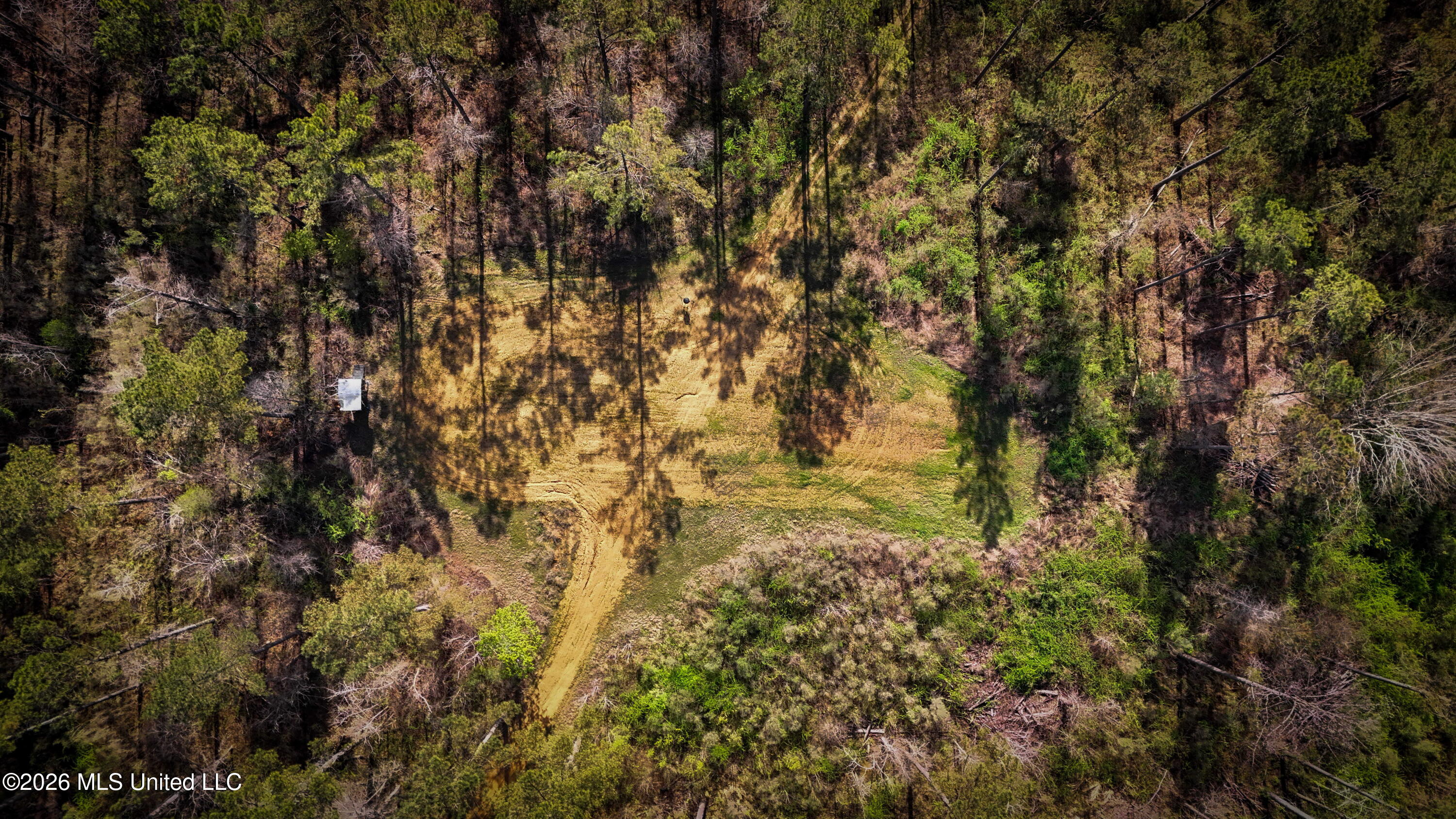 0 North Putnam Road Pickens, MS 39146 - Photo 8 of 13 Copy of dji_fly_20260312_114032_0006_177