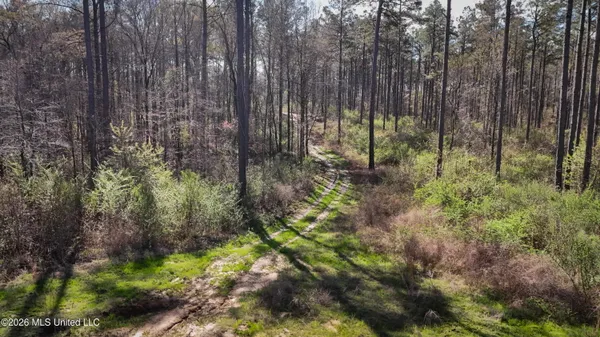 $151,200 | 0 North Putnam Road, Pickens, MS 39146