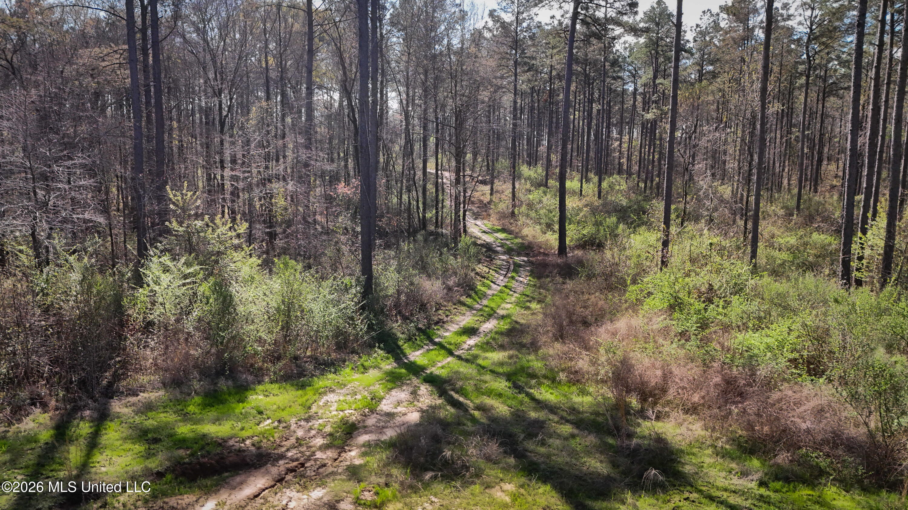 0 North Putnam Road Pickens, MS 39146 - Photo 9 of 13 Copy of dji_fly_20260312_114108_0007_177
