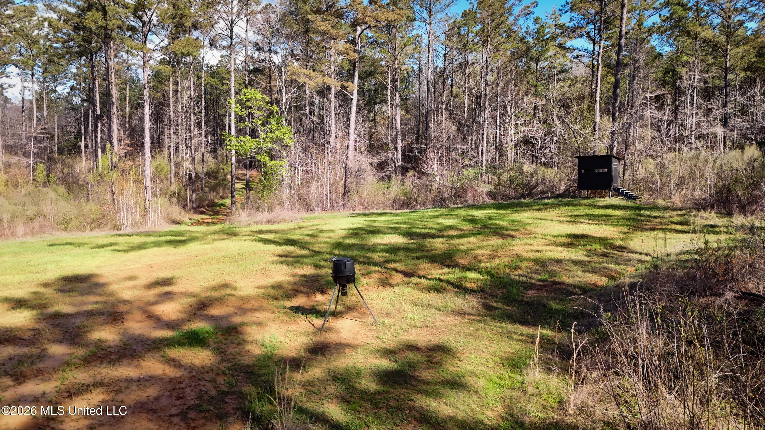 0 North Putnam Road Pickens, MS 39146 - Photo 10 of 13 Copy of dji_fly_20260312_114126_0008_177