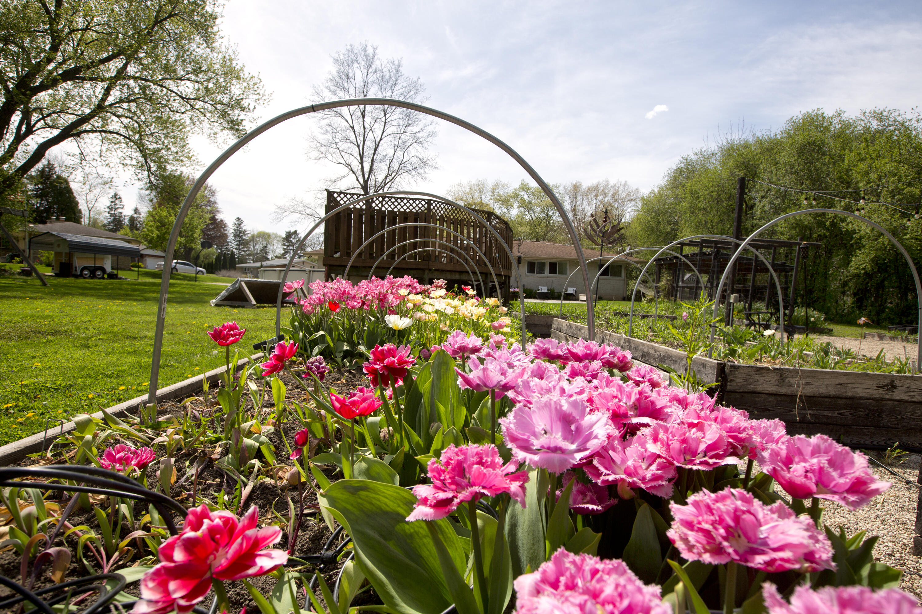 N68W13722 Bay Ridge Court Menomonee Falls, WI 53051 - Photo 27 of 30 Beautiful Garden Beds