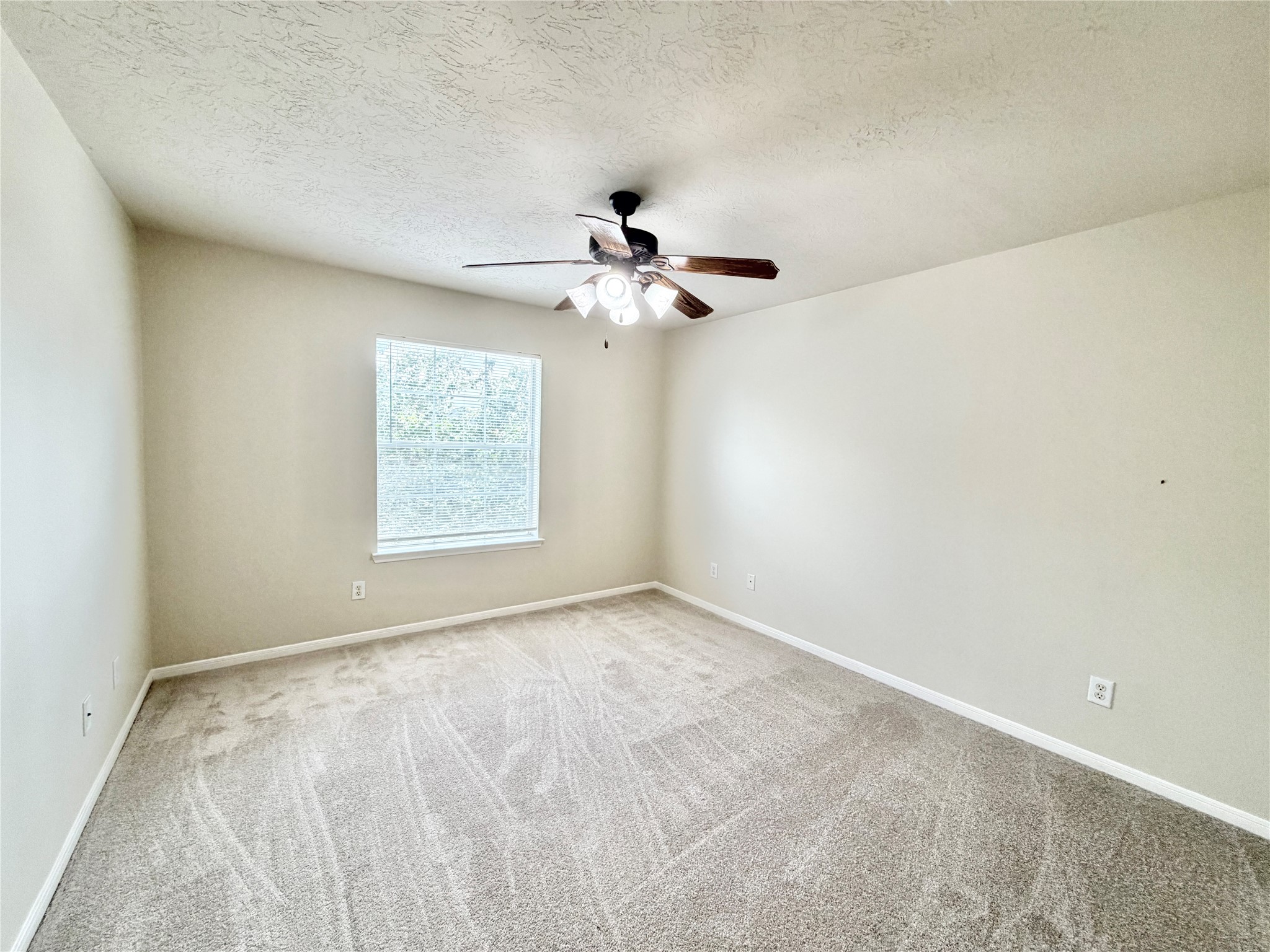 21734 Texian Court Spring, TX 77388 - Photo 16 of 18