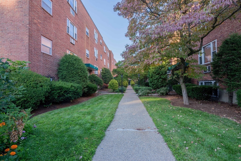 53 Colborne Road, Unit B1 Boston, MA 02135 - Photo 9 of 11 Gallery Image 9