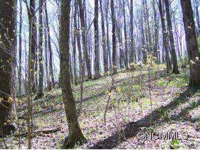 7 B Chestnut Flats Road, Unit 7B Waynesville, NC 28786 - Photo 14 of 20 Gallery Image 14
