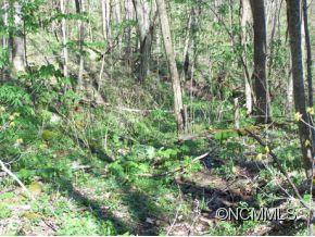 7 B Chestnut Flats Road, Unit 7B Waynesville, NC 28786 - Photo 15 of 20 Gallery Image 15