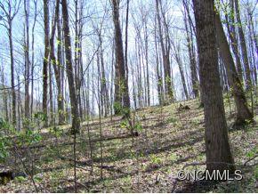7 B Chestnut Flats Road, Unit 7B Waynesville, NC 28786 - Photo 16 of 20 Gallery Image 16