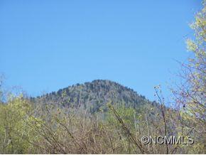 7 B Chestnut Flats Road, Unit 7B Waynesville, NC 28786 - Photo 17 of 20 Gallery Image 17