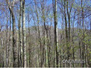 7 B Chestnut Flats Road, Unit 7B Waynesville, NC 28786 - Photo 4 of 20 Gallery Image 4