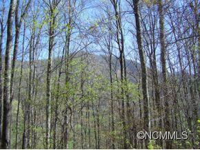 7 B Chestnut Flats Road, Unit 7B Waynesville, NC 28786 - Photo 5 of 20 Gallery Image 5