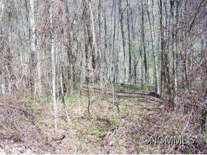 7 B Chestnut Flats Road, Unit 7B Waynesville, NC 28786 - Photo 6 of 20 Gallery Image 6
