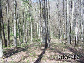 7 B Chestnut Flats Road, Unit 7B Waynesville, NC 28786 - Photo 7 of 20 Gallery Image 7