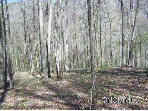 7 B Chestnut Flats Road, Unit 7B Waynesville, NC 28786 - Photo 8 of 20 Gallery Image 8