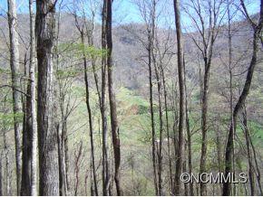 7 B Chestnut Flats Road, Unit 7B Waynesville, NC 28786 - Photo 9 of 20 Gallery Image 9