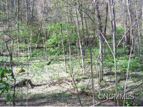 7 B Chestnut Flats Road, Unit 7B Waynesville, NC 28786 - Photo 10 of 20 Gallery Image 10