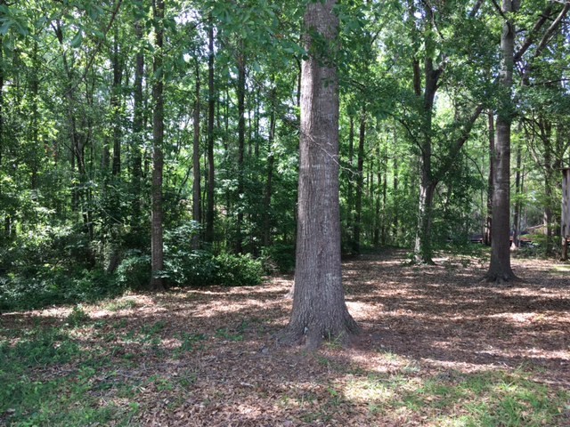 193 Rivoli Landing Macon, GA 31210 - Photo 12 of 14 Additional Photo