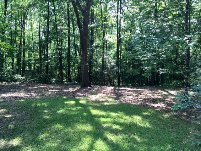 193 Rivoli Landing Macon, GA 31210 - Photo 13 of 14 Additional Photo