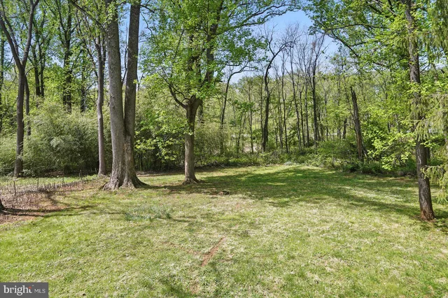 a view of a yard with a tree