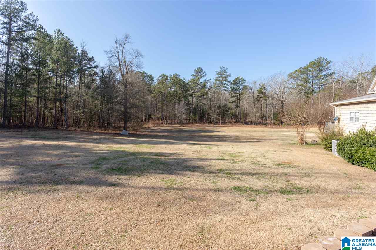 355 Foster West Road Jacksonville, AL 36265 - Photo 42 of 48