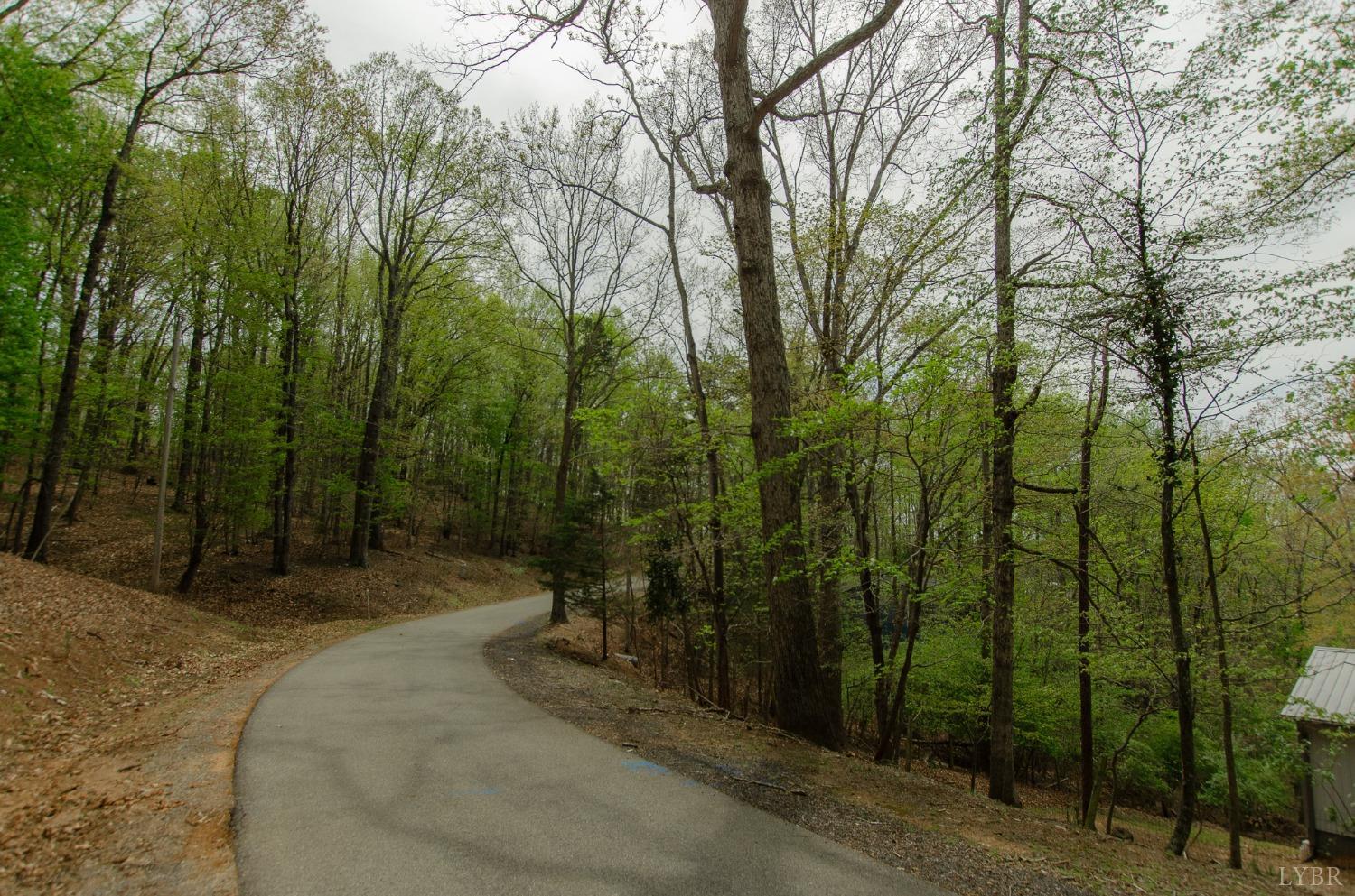 0 High Point Road Moneta, VA 24121 - Photo 13 of 17 Gallery Image 13