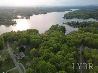 0 High Point Road Moneta, VA 24121 - Photo 16 of 17 Gallery Image 16