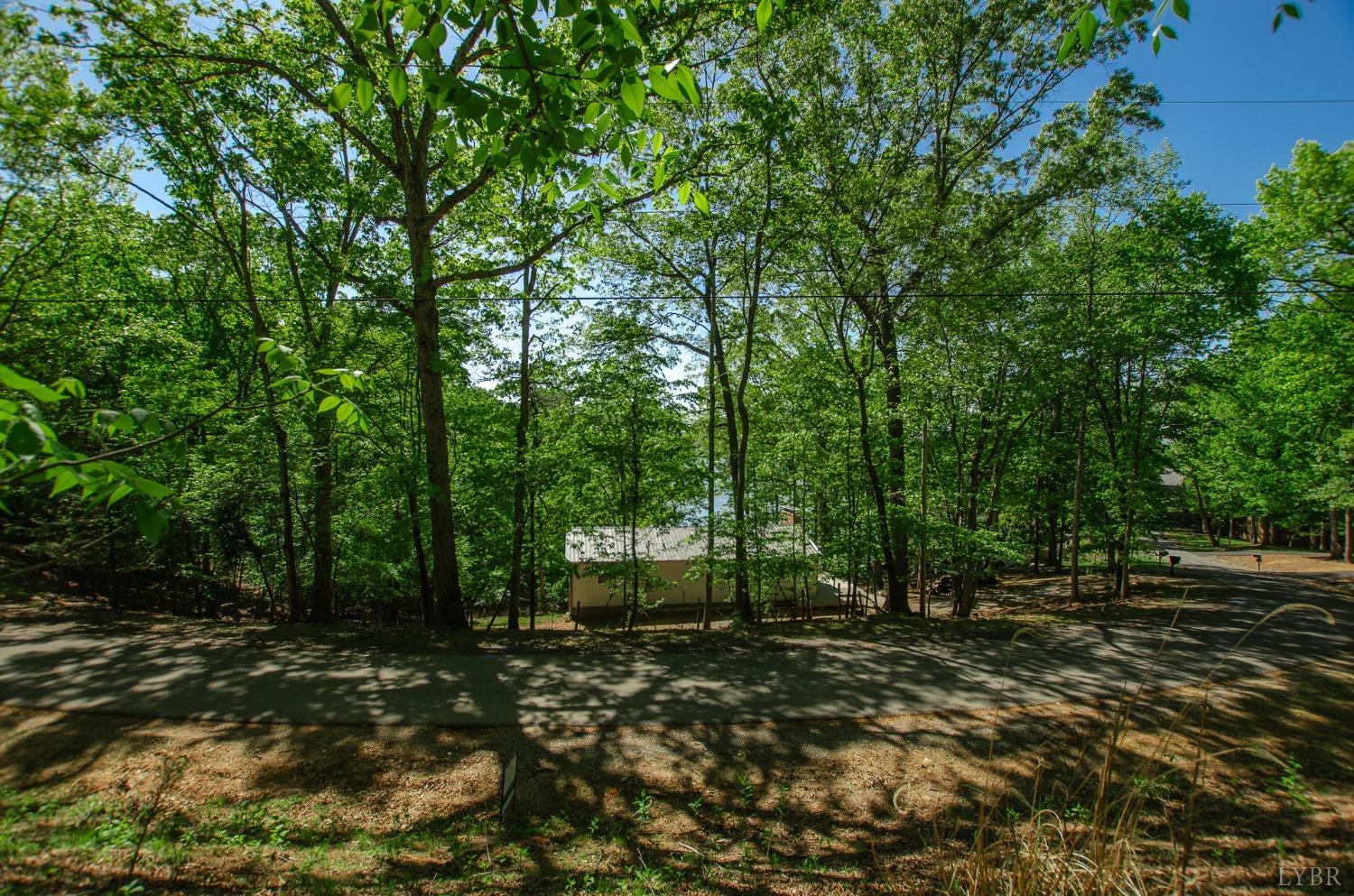 0 High Point Road Moneta, VA 24121 - Photo 4 of 17 Gallery Image 4