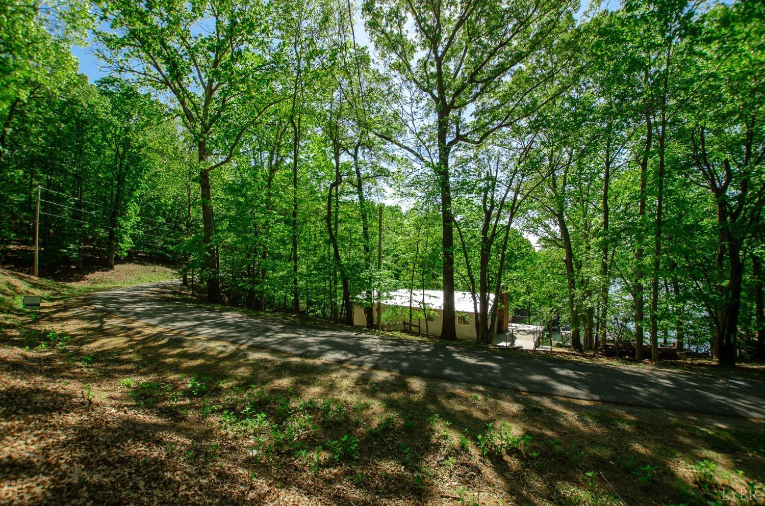 0 High Point Road Moneta, VA 24121 - Photo 5 of 17 Gallery Image 5