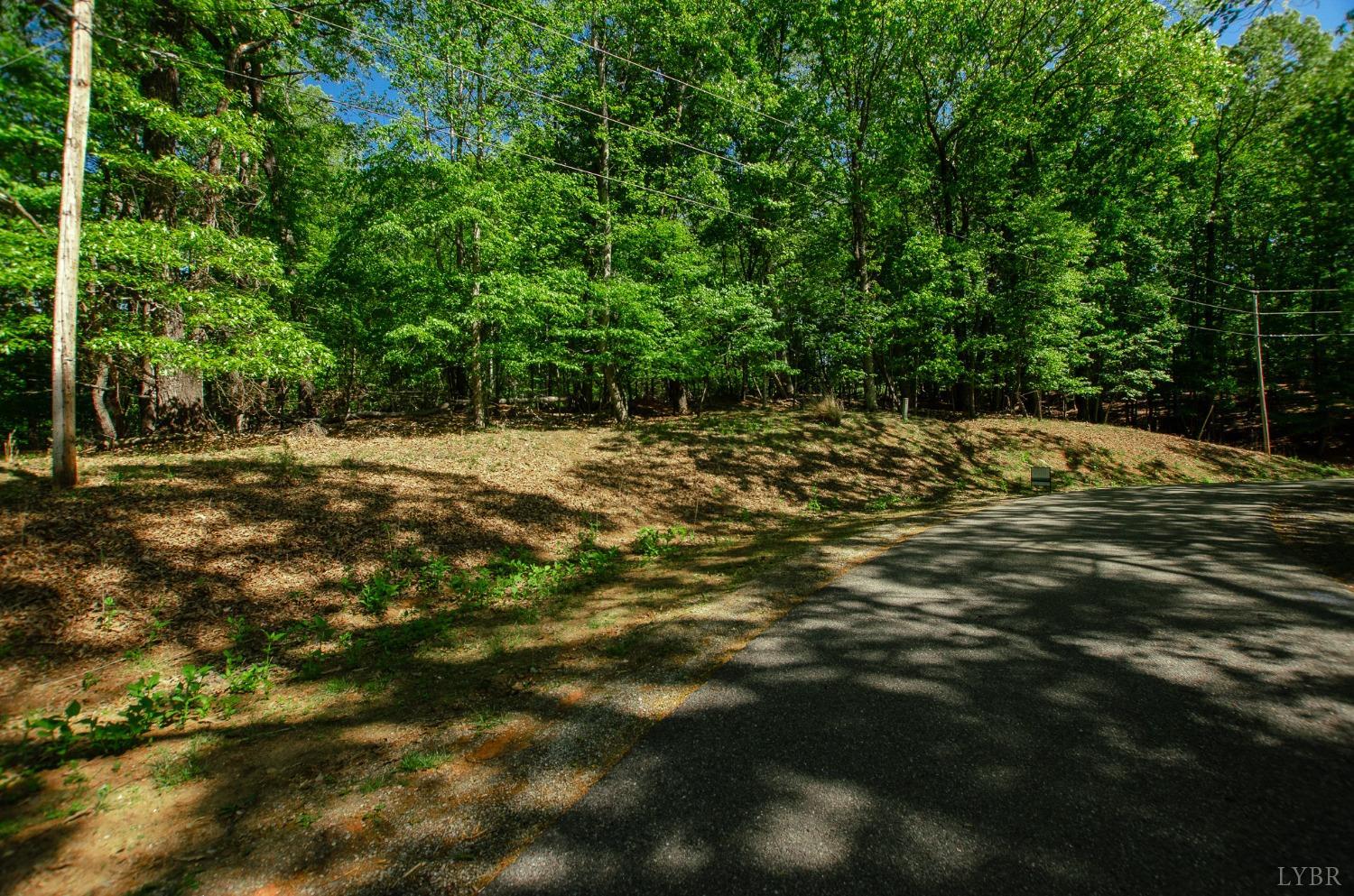0 High Point Road Moneta, VA 24121 - Photo 8 of 17 Gallery Image 8