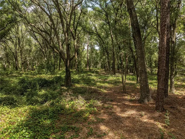 $400,000 | 2946 Southeast 21st Avenue, Sumterville, FL 33585