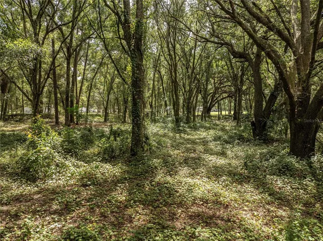 $400,000 | 2946 Southeast 21st Avenue, Sumterville, FL 33585