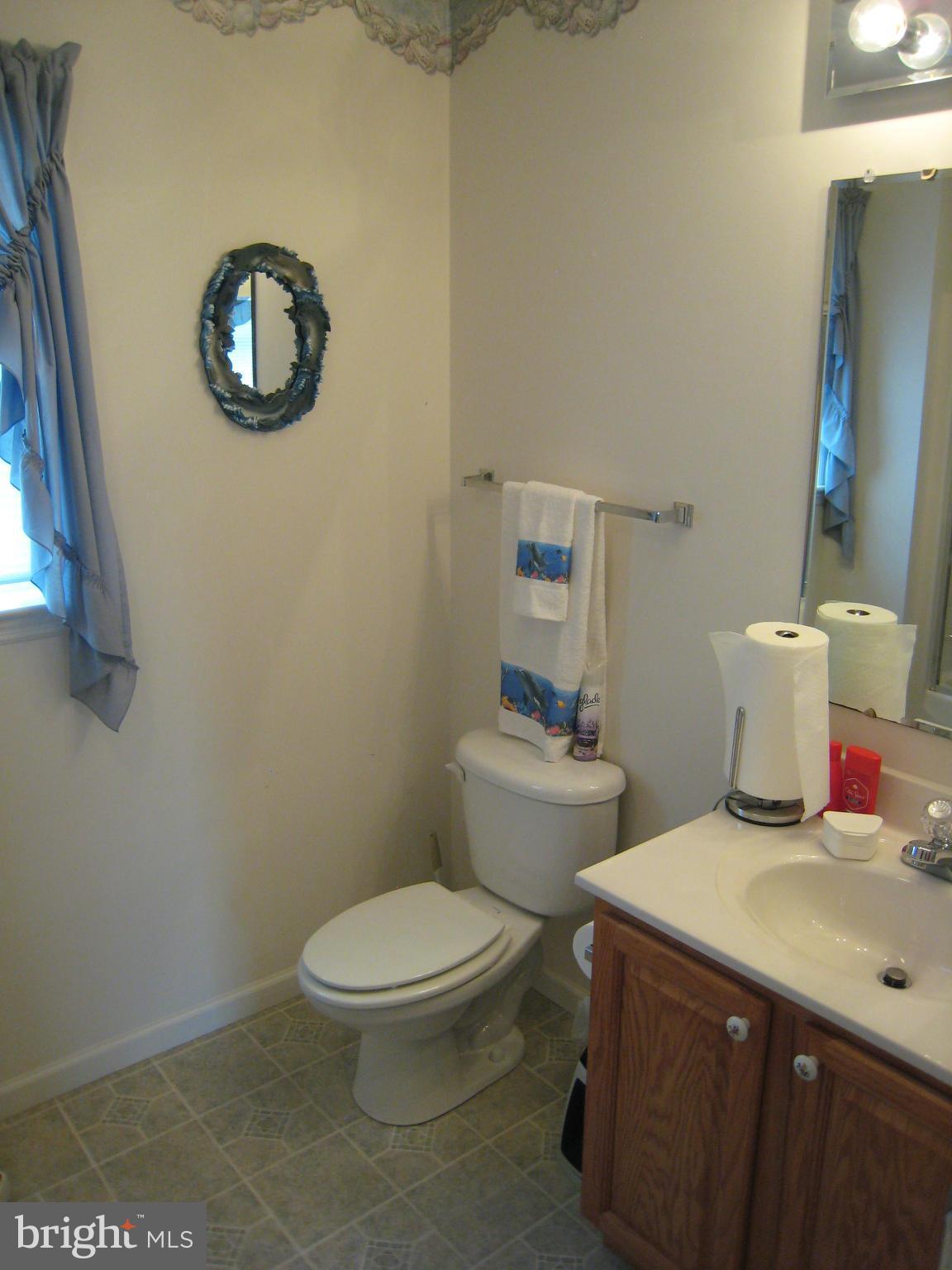 3724 Chestnut Road Baltimore, MD 21220 - Photo 22 of 30 Bath