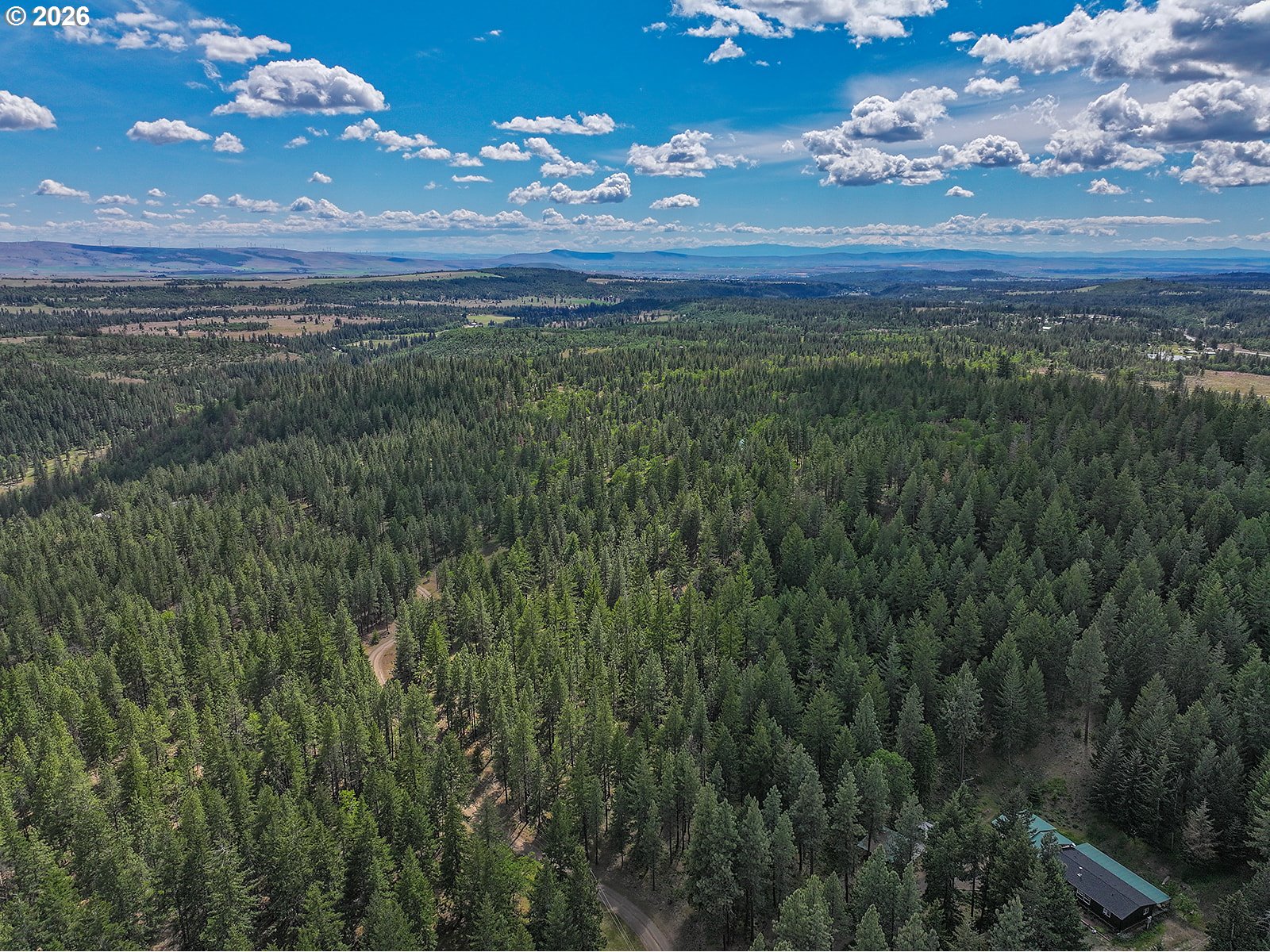 Thompson Trail Goldendale, WA 98620 - Photo 10 of 15 a view of a big yard with lots of bushes