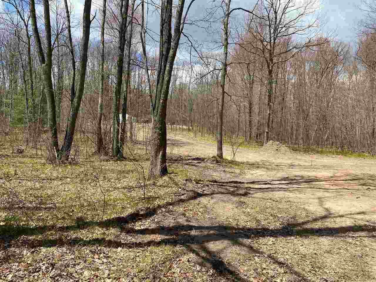 435 East Townline Lake Road Harrison, MI 48625 - Photo 21 of 24