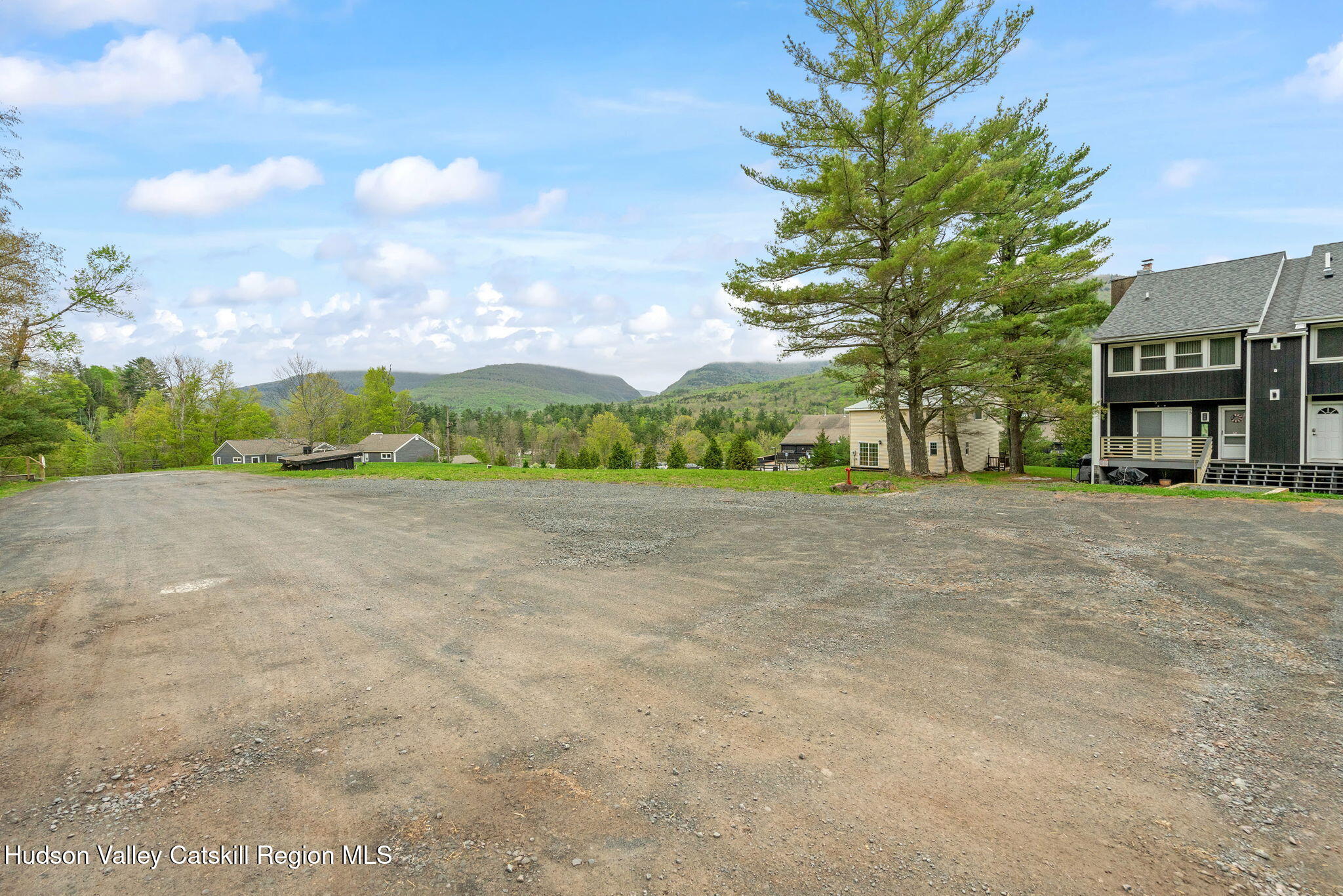 35 Scribner Hollow Road, Unit E3 Hunter, NY 12442 - Photo 58 of 59 a view of a big yard with plants and large trees