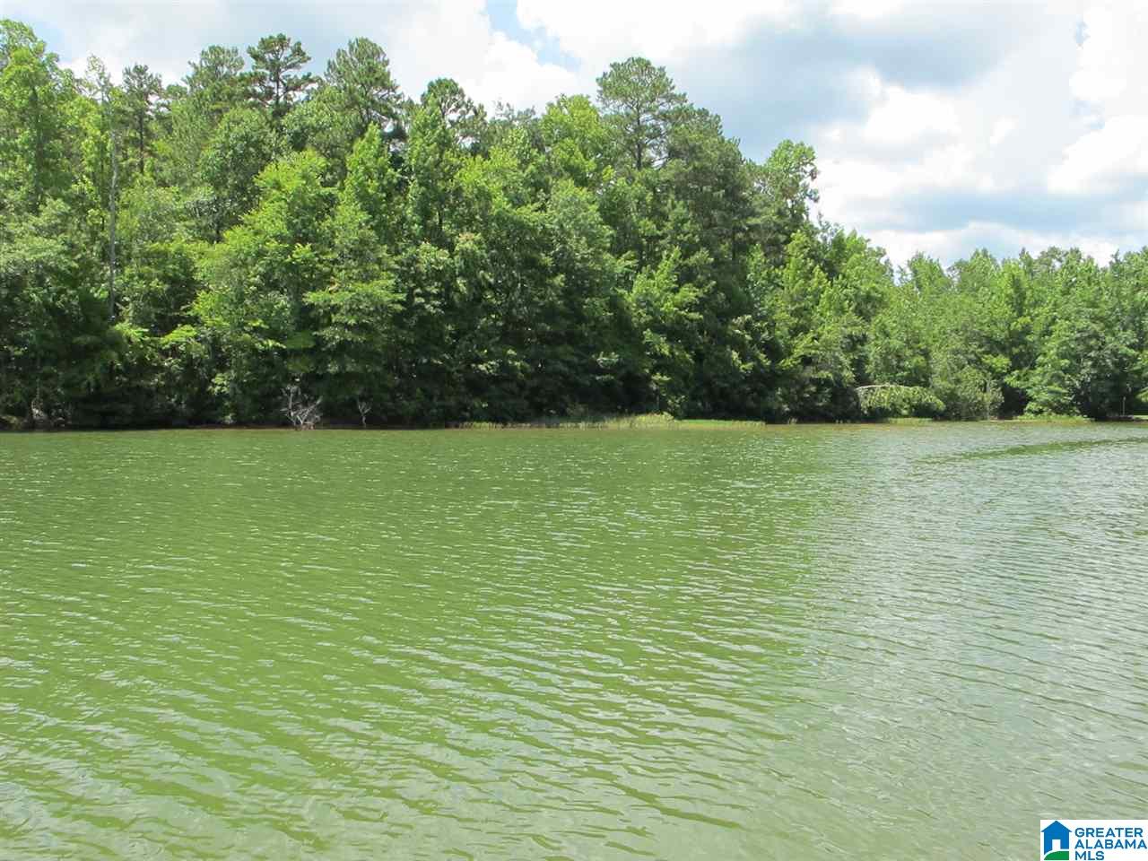 354 South Forty Road Lineville, AL 36266 - Photo 22 of 30