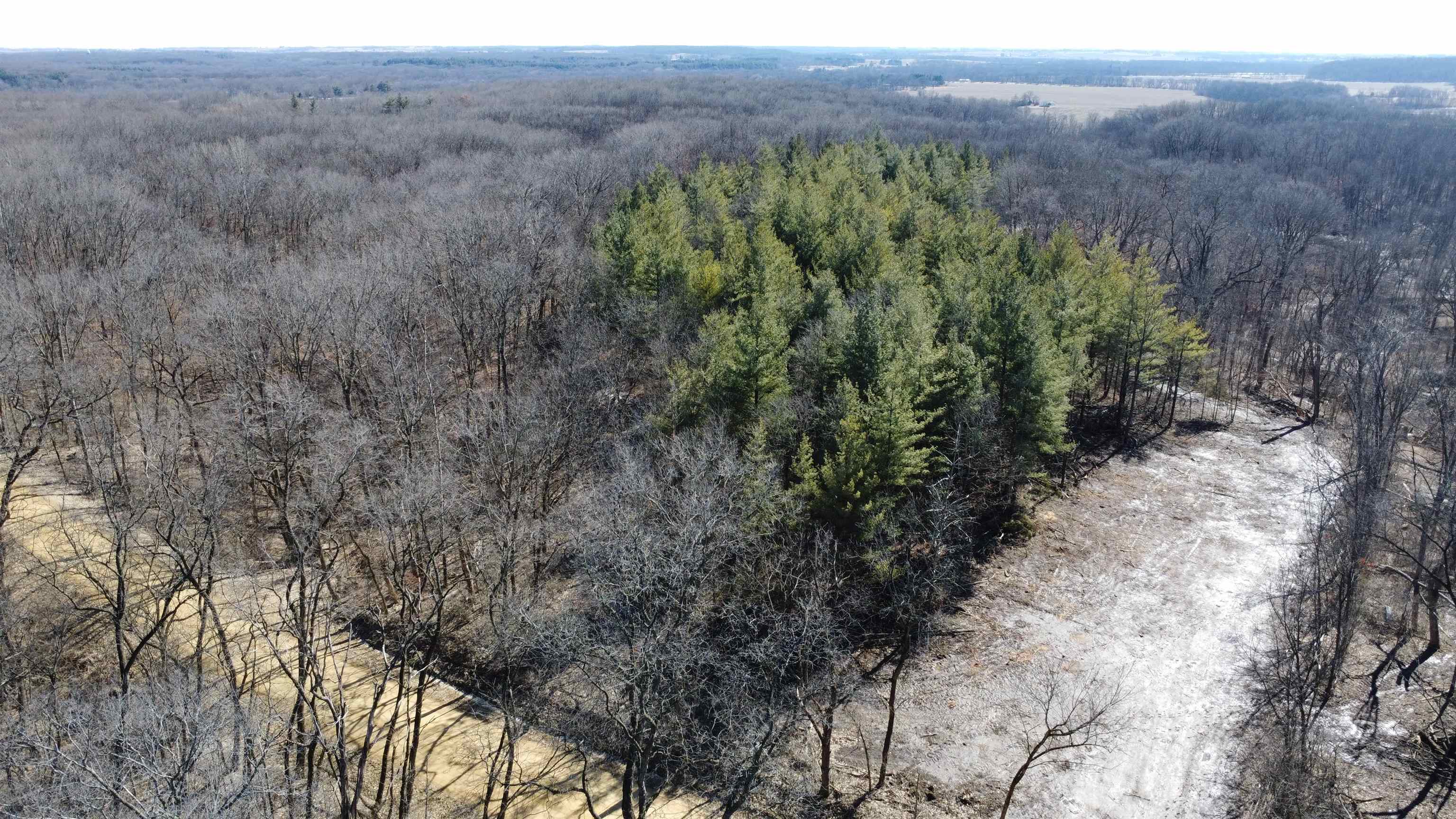 25 Ac /- West Penn Corner Road Oregon, IL 61061 - Photo 6 of 15 a view of a forest with trees in the background