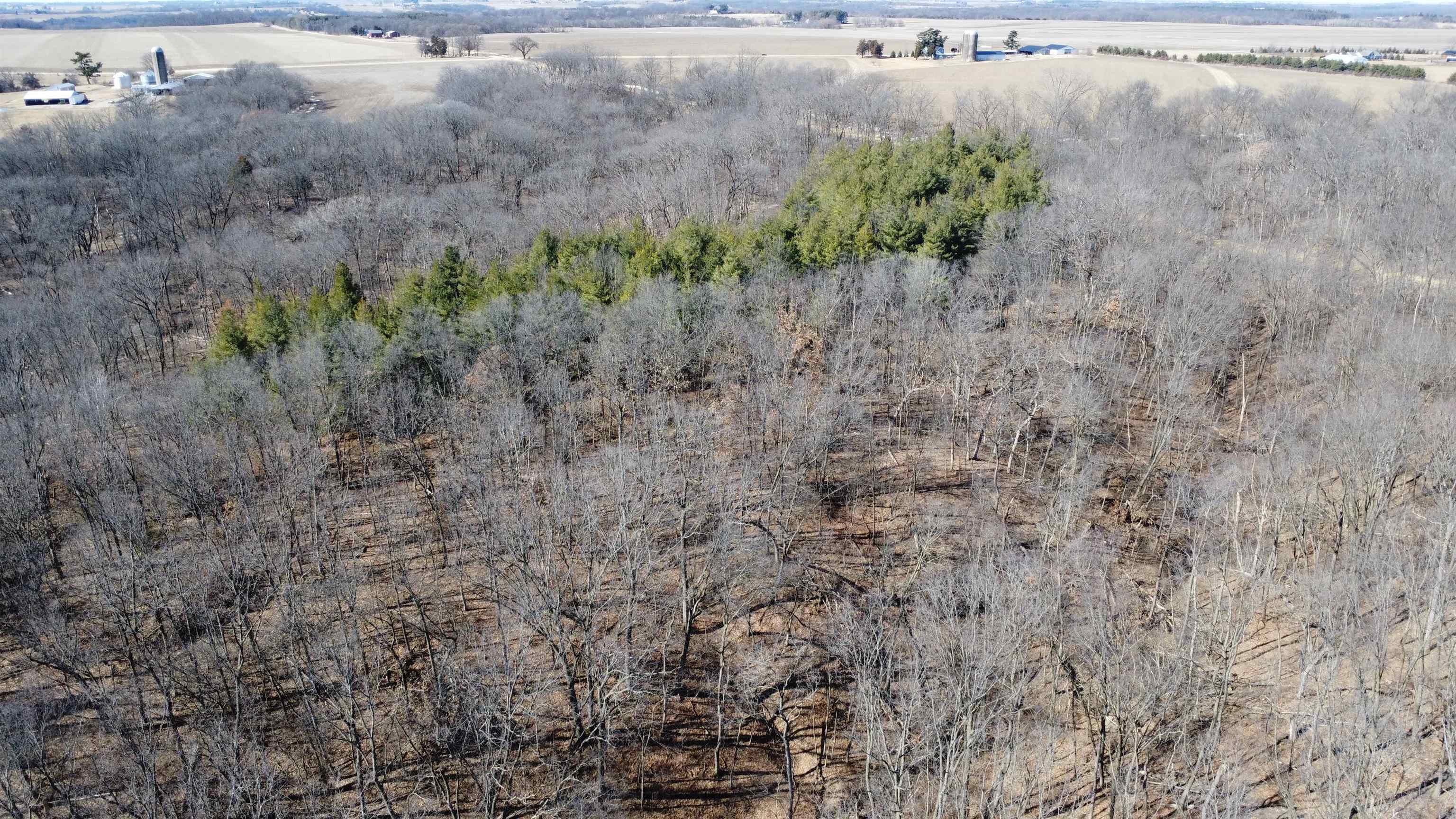 25 Ac /- West Penn Corner Road Oregon, IL 61061 - Photo 8 of 15