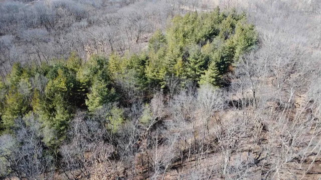 $249,000 | 25 Ac /- West Penn Corner Road, Oregon, IL 61061