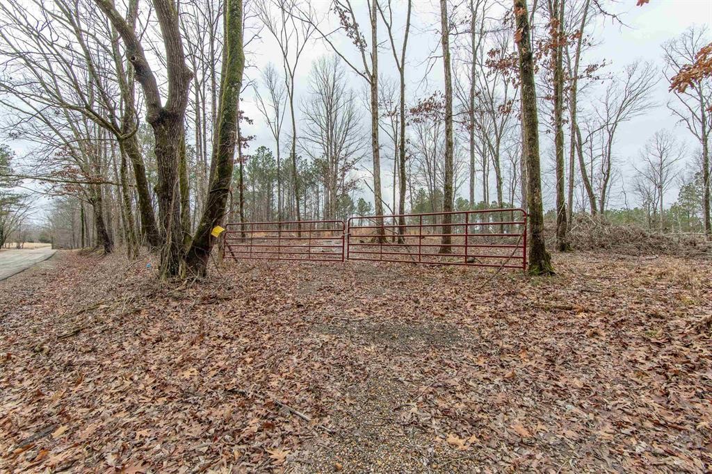 705 Post Road Michie, TN 38357 - Photo 2 of 8 a view of covered with trees