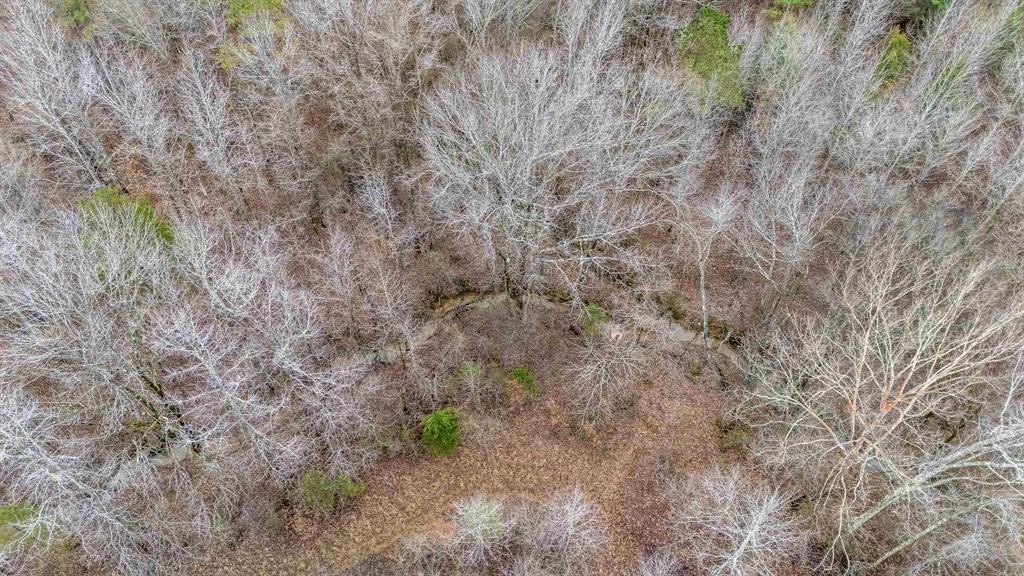 705 Post Road Michie, TN 38357 - Photo 7 of 8