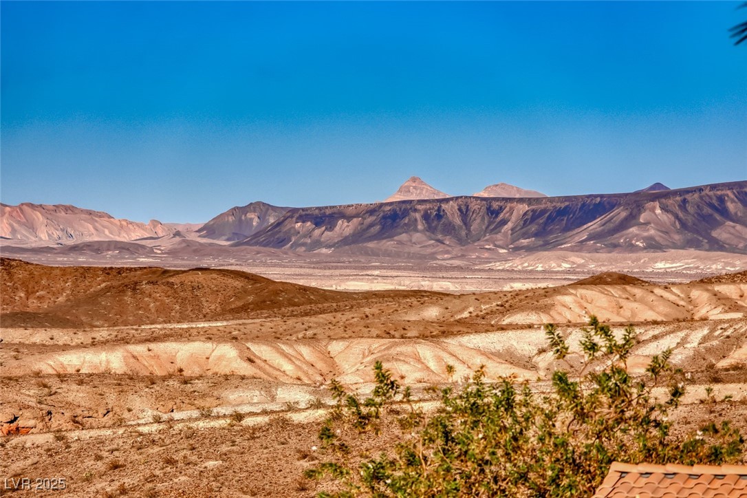 20 Via Mantova, Unit 101 Henderson, NV 89011 - Photo 41 of 60