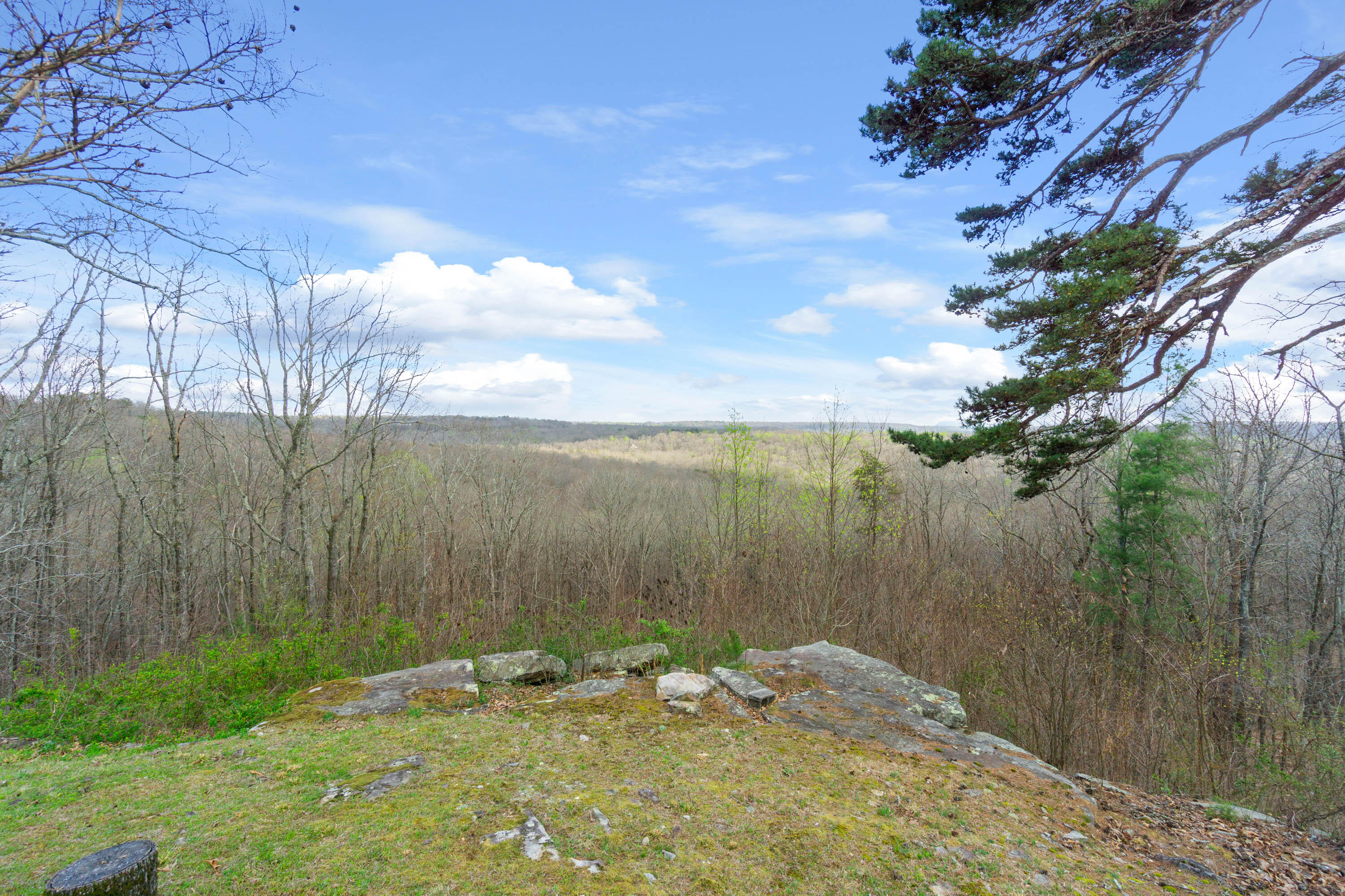 2802 Kell Road Signal Mountain, TN 37377 - Photo 74 of 85 2802 Kell Rd-11