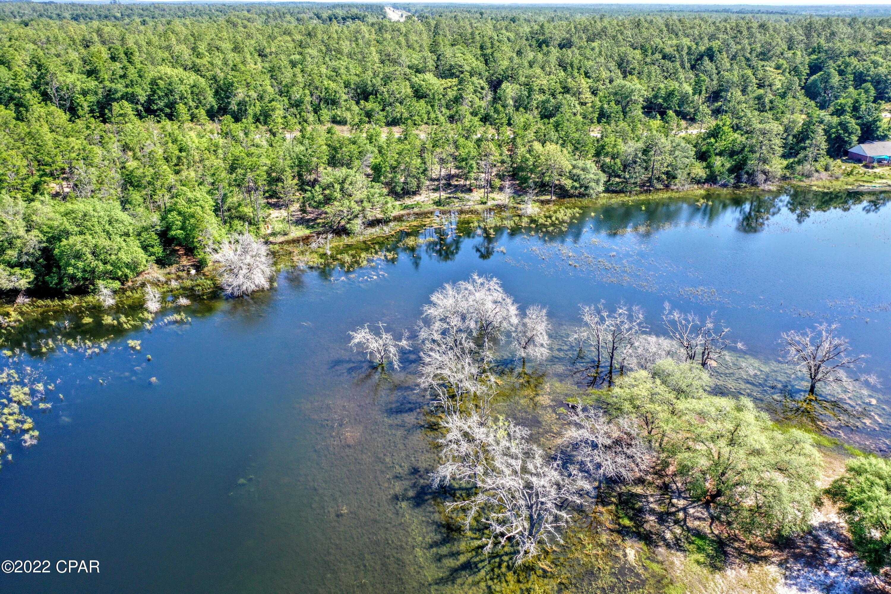 2737 Rolling Pines Road Chipley, FL 32428 - Photo 7 of 9 Gallery Image 7