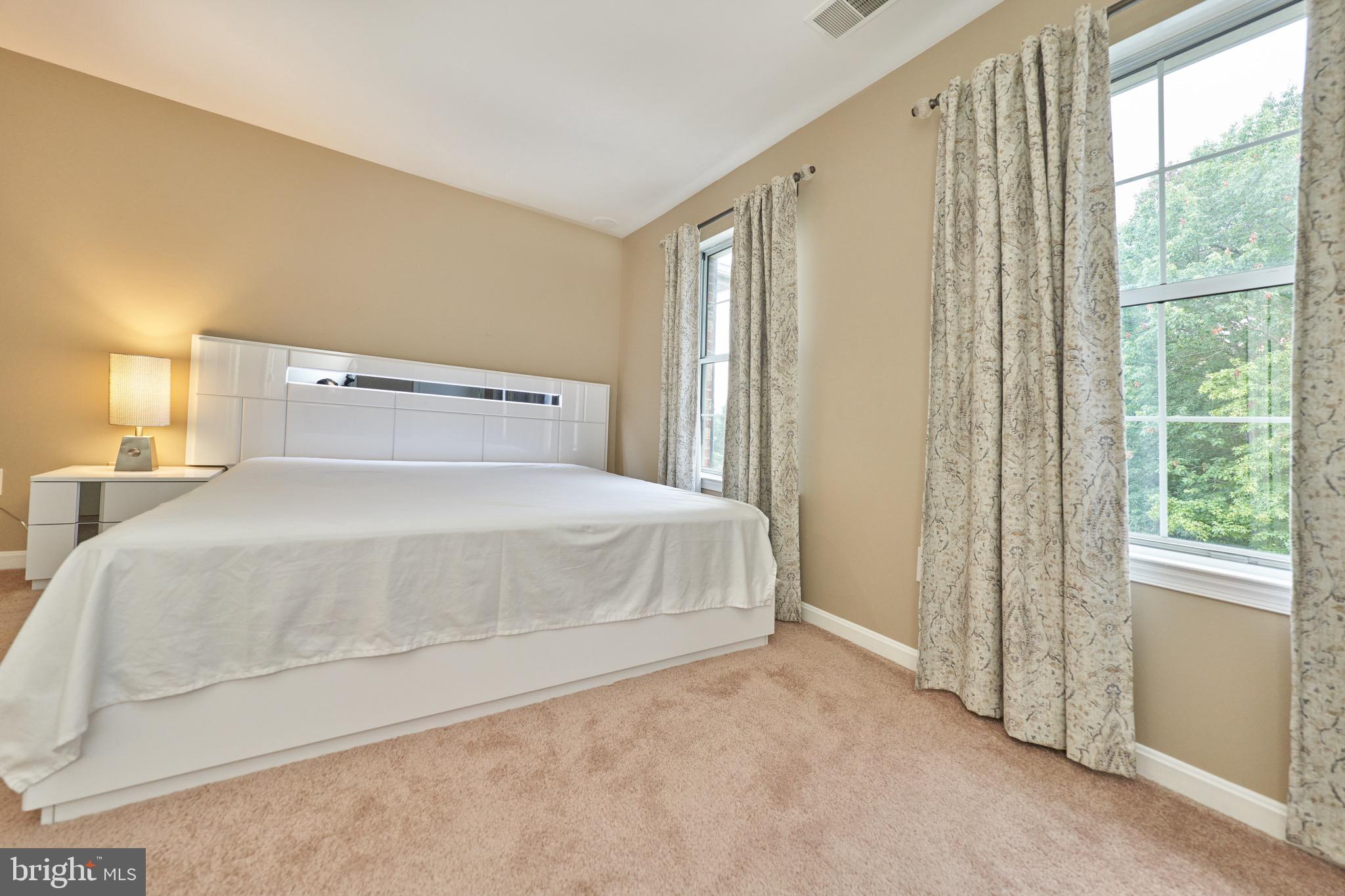 13559 Ruddy Duck Road Clifton, VA 20124 - Photo 43 of 82 Gallery Image 43
