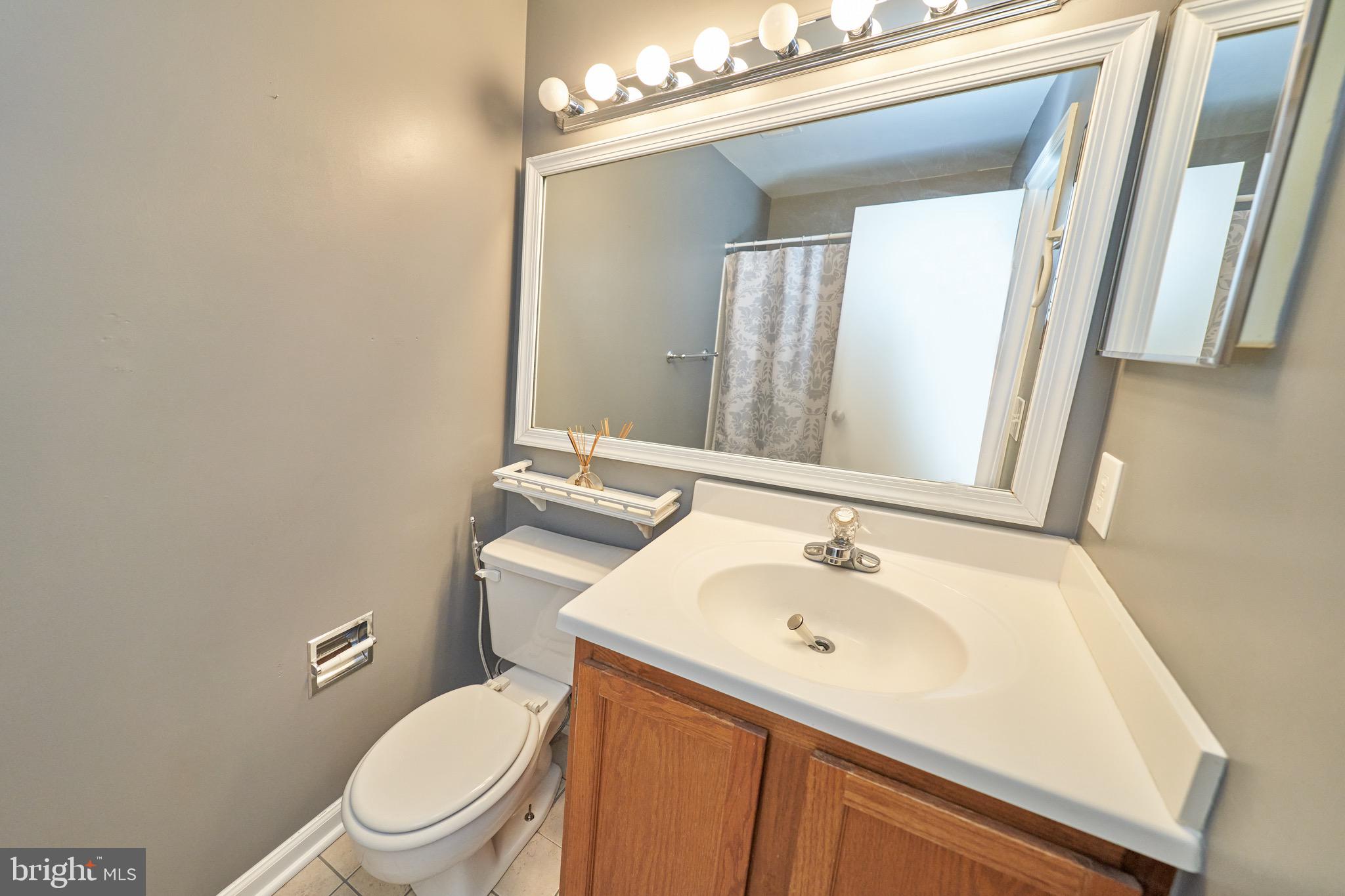 13559 Ruddy Duck Road Clifton, VA 20124 - Photo 56 of 82 Gallery Image 56