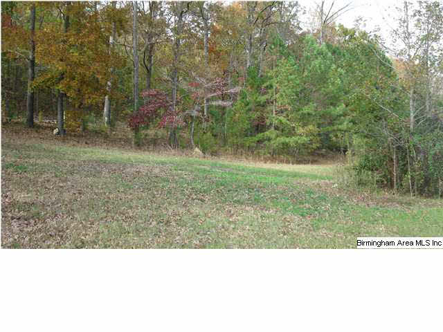 10 Merrilee Circle Remlap, AL 35133 - Photo 10 of 19