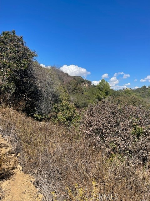 0 Subdivision 1033 Los Angeles, CA 90077 - Photo 2 of 7 a view of a large tree with a mountain in the background