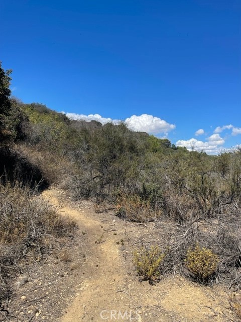 0 Subdivision 1033 Los Angeles, CA 90077 - Photo 3 of 7 a view of a dry yard