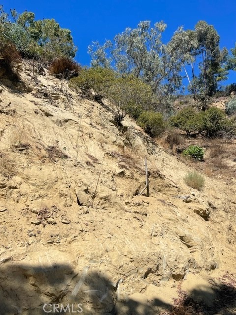 0 Subdivision 1033 Los Angeles, CA 90077 - Photo 6 of 7 a view of a yard with a tree